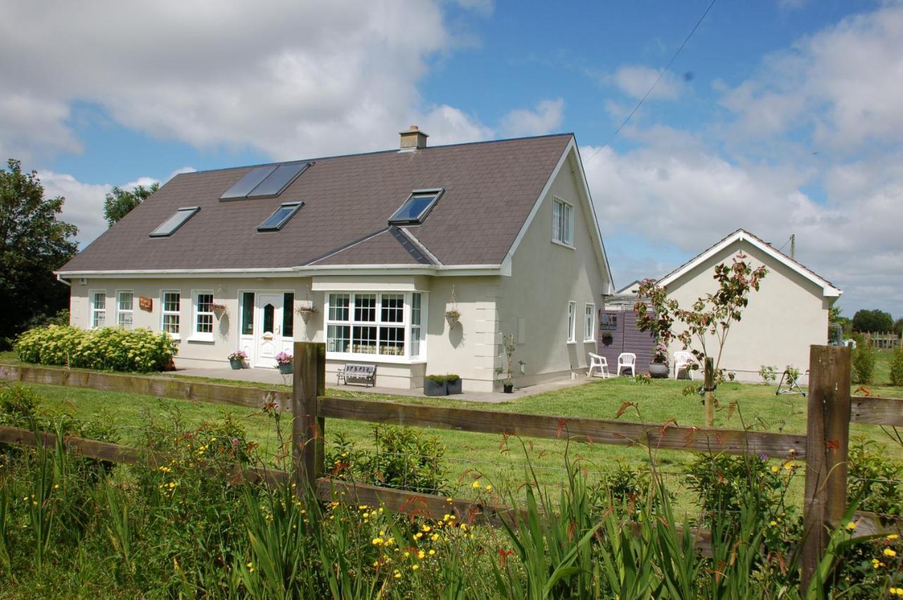 Bed and Breakfast The Little Flock Farm Cloonmore Exterior foto